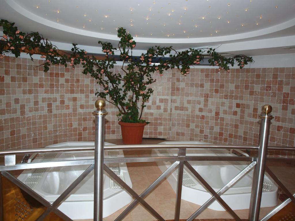 Hotel Rasen